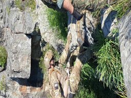 2021-06-05 e 6 FORMEX 1